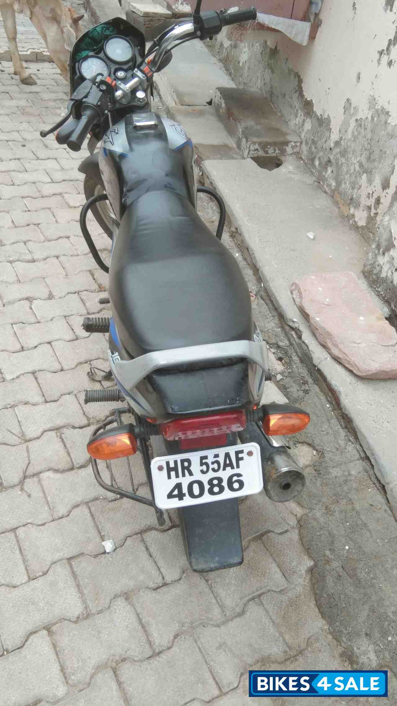 Ebony Blk Blue Dkl Bajaj CT 100