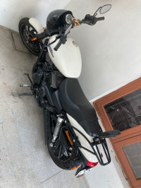 Bonneville Salt Pearl Harley Davidson Street 750