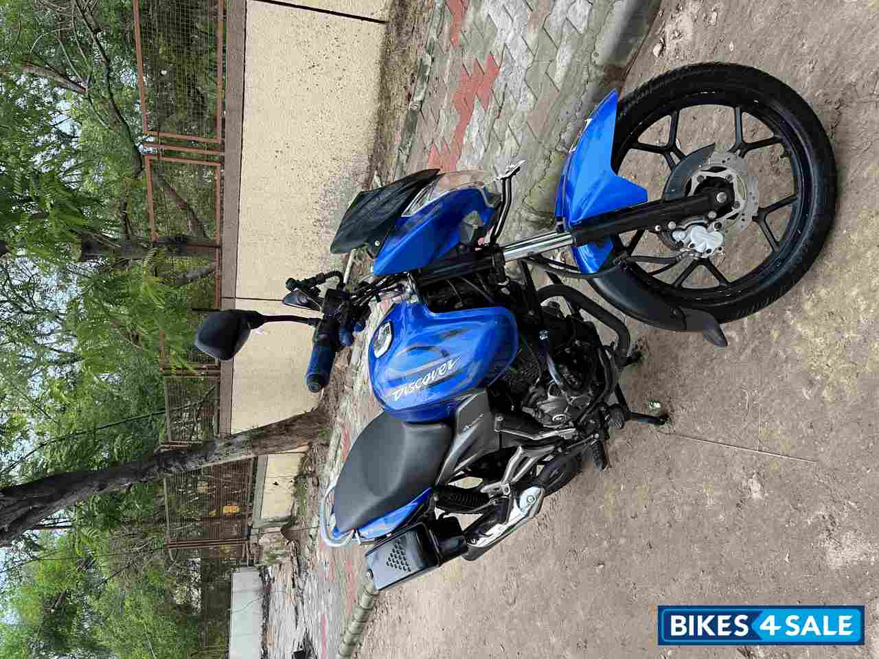 Blue Bajaj Discover 125T