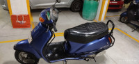 Dark Blue Honda Activa