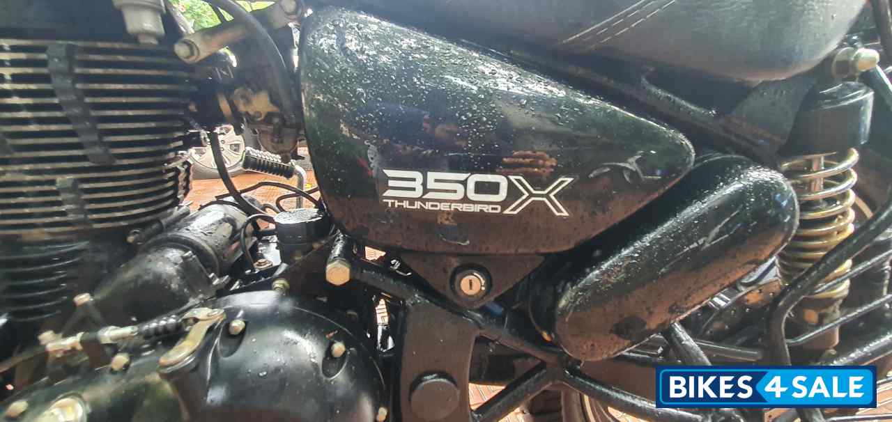 Whimsical White Royal Enfield Thunderbird X 350