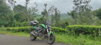 Green Bajaj Dominar 400 ABS BS6