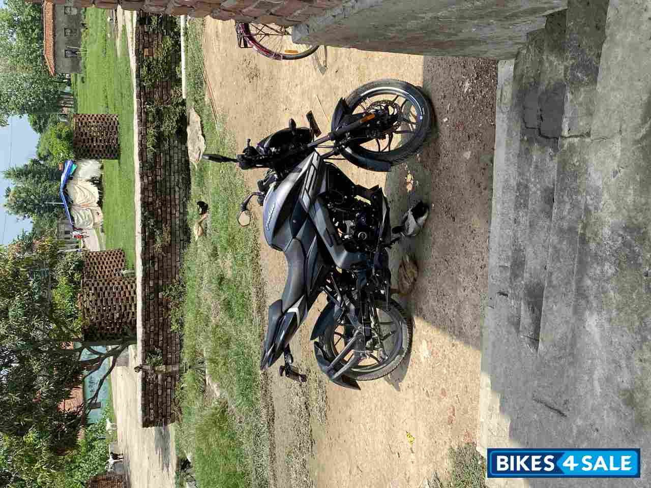 Gray Bajaj Pulsar NS125 BS6