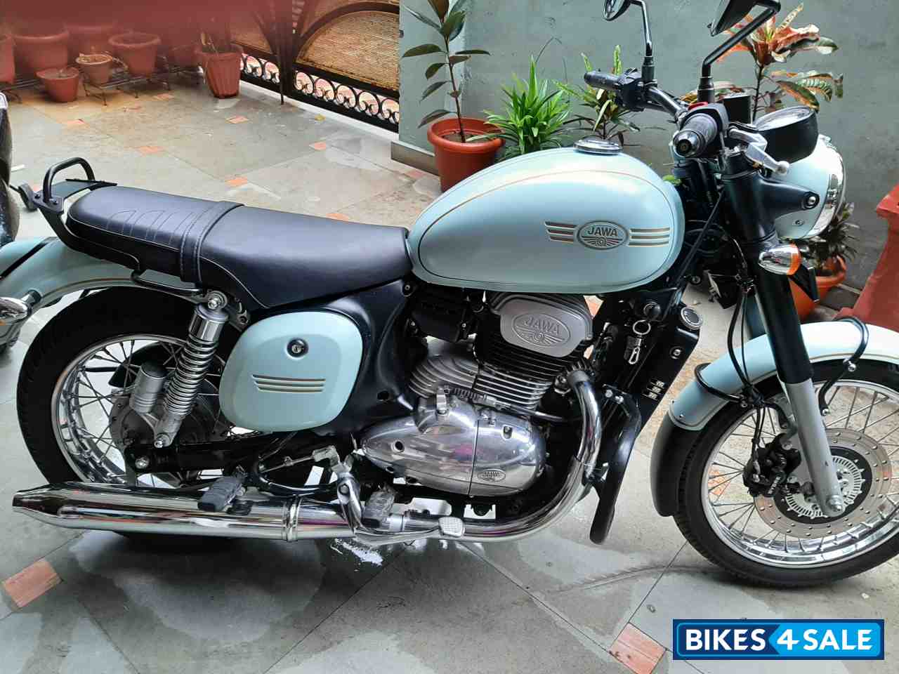 Hailey Teal Jawa forty two