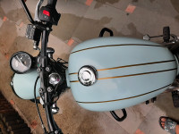 Hailey Teal Jawa forty two