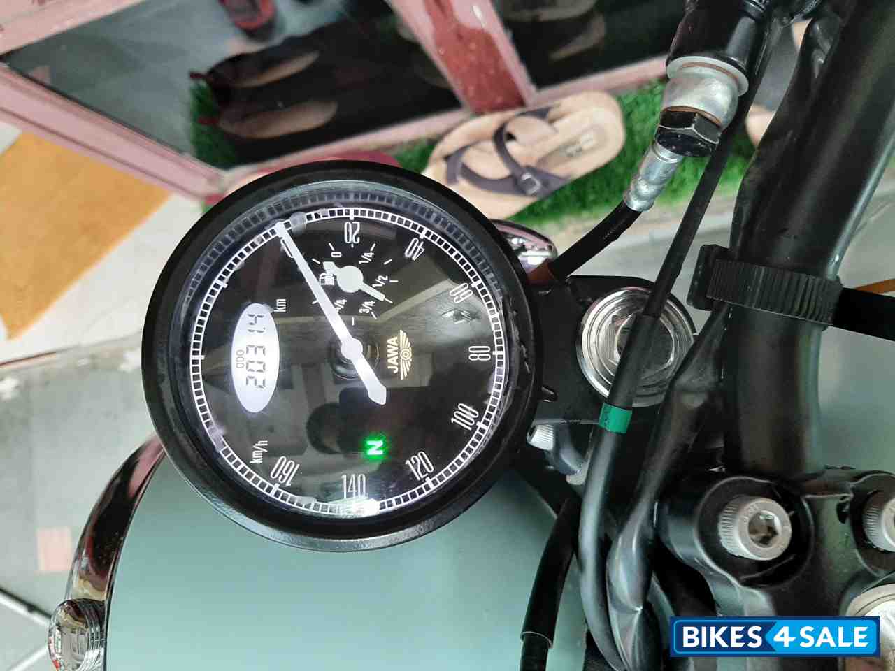 Hailey Teal Jawa forty two