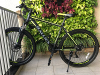 Bicycle  Rallies Delta 3.1, Black/Green, 21spd Shimano geared, Size: 26 2020 Model