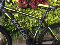 Bicycle Rallies Delta 3.1, Black/Green, 21spd Shimano geared, Size: 26