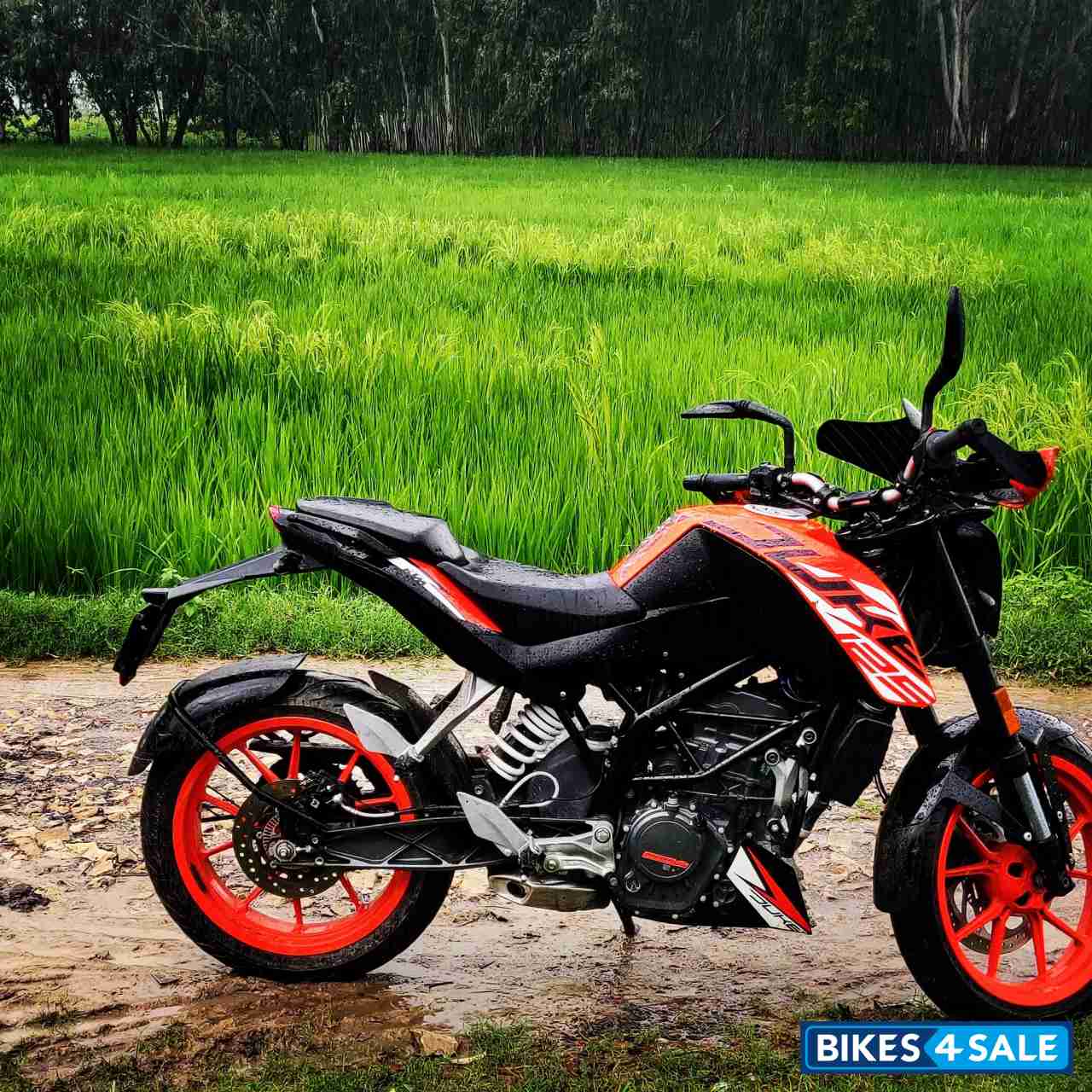 Orange KTM Duke 125 2020
