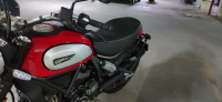 Ducati Scrambler 800 Icon