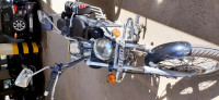 Black Bajaj Avenger 220 DTS-i
