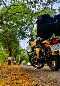 Royal Enfield Classic Signals Stormrider Sand