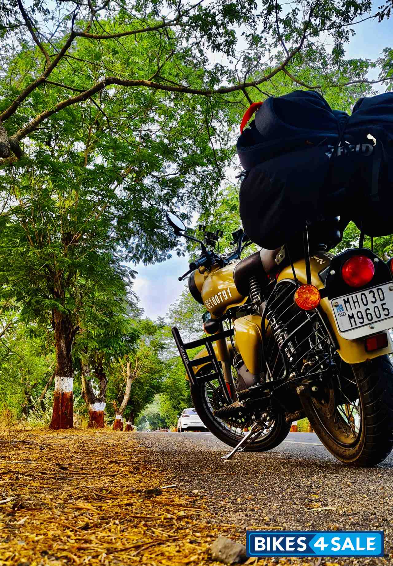 Royal Enfield Classic Signals Stormrider Sand