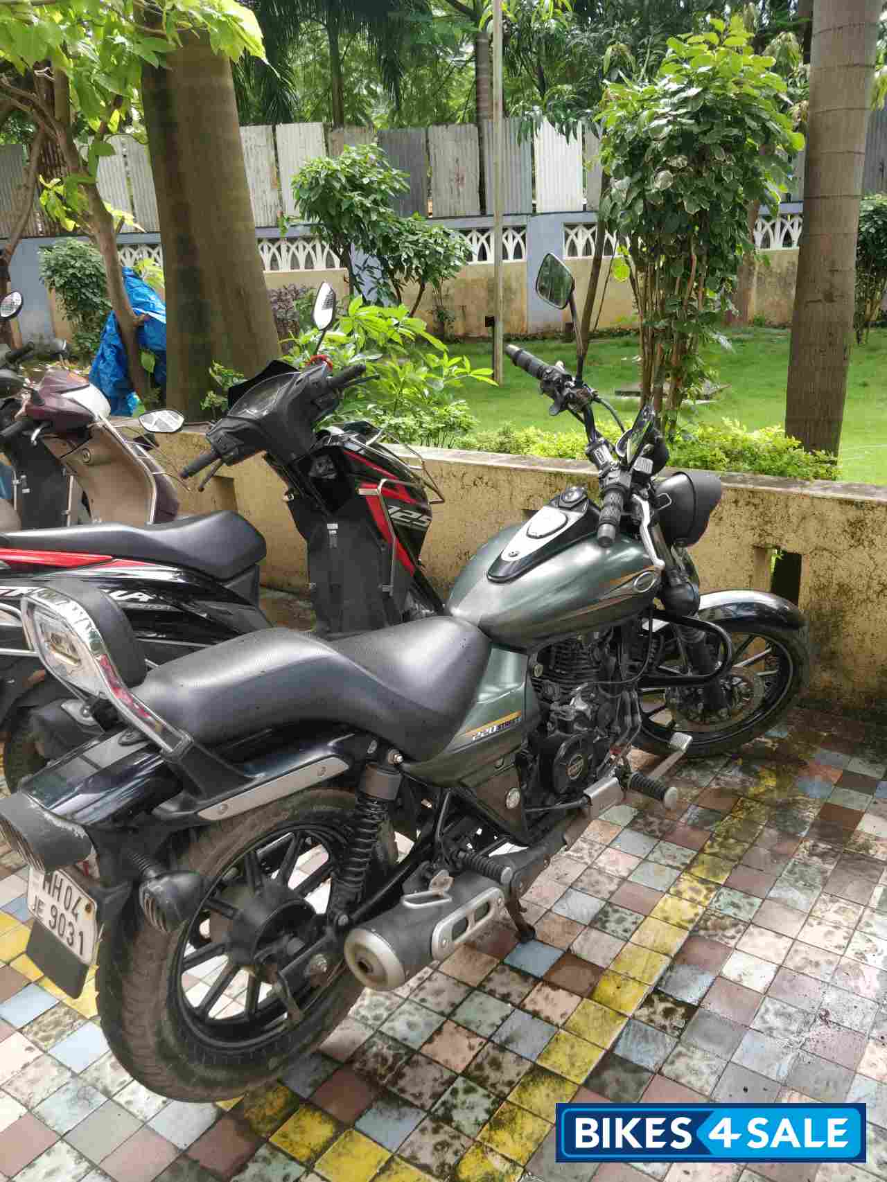 Metallic Green Bajaj Avenger Street 220