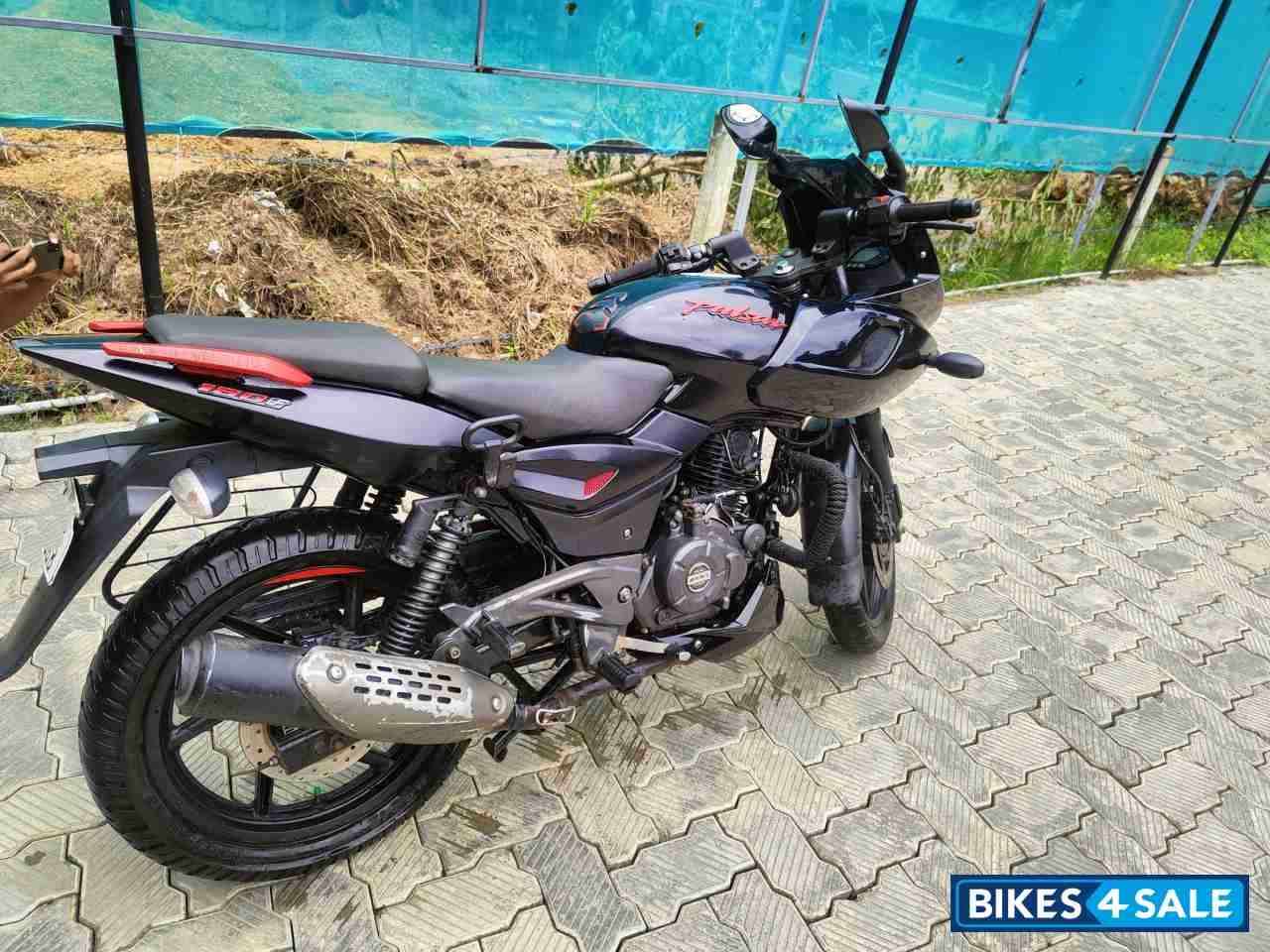 Bajaj Pulsar 180F Neon