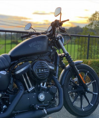 Danim Black Harley Davidson Iron 883