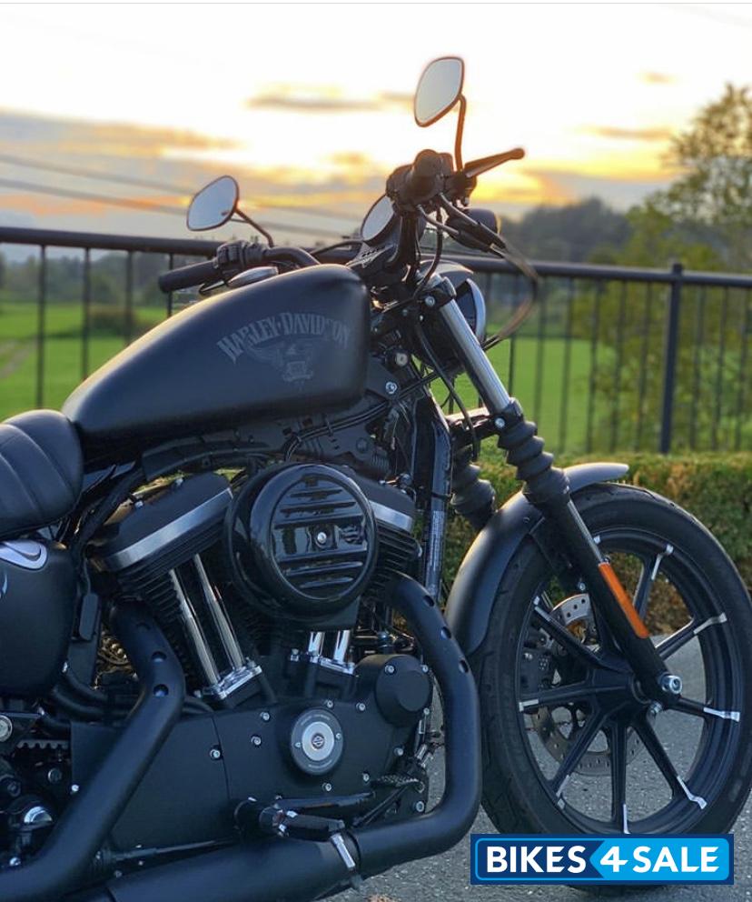 Danim Black Harley Davidson Iron 883