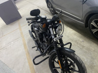 Danim Black Harley Davidson Iron 883