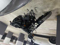 Danim Black Harley Davidson Iron 883