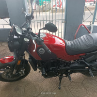Benelli Leoncino 500 BS6