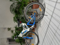 Bicycle Firefox 2017 Model