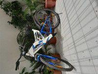 White Bicycle Firefox