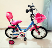 Bicycle Kross Bluebell 14T