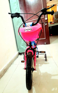 Bicycle Kross Bluebell 14T