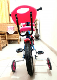 Bicycle Kross Bluebell 14T