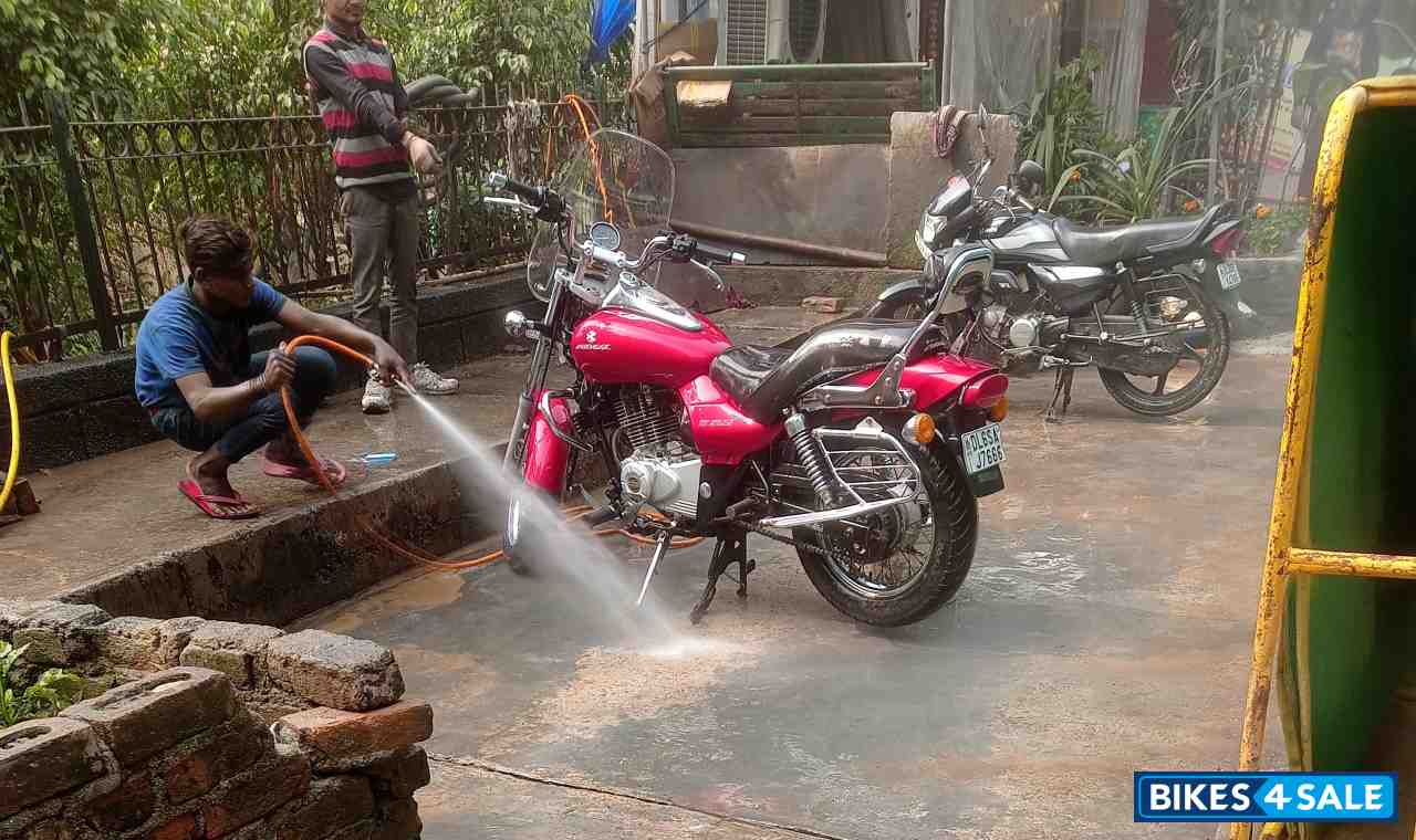 Red Wine Bajaj Avenger Cruise 220 BS6