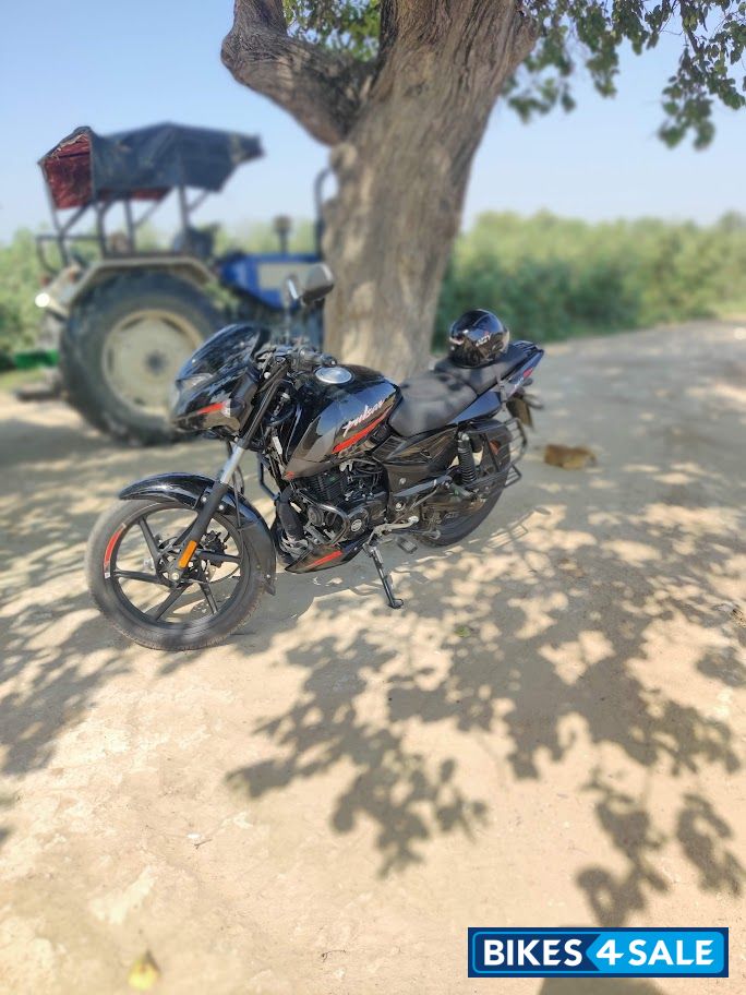 Black Red Bajaj Pulsar 125 Split Seat