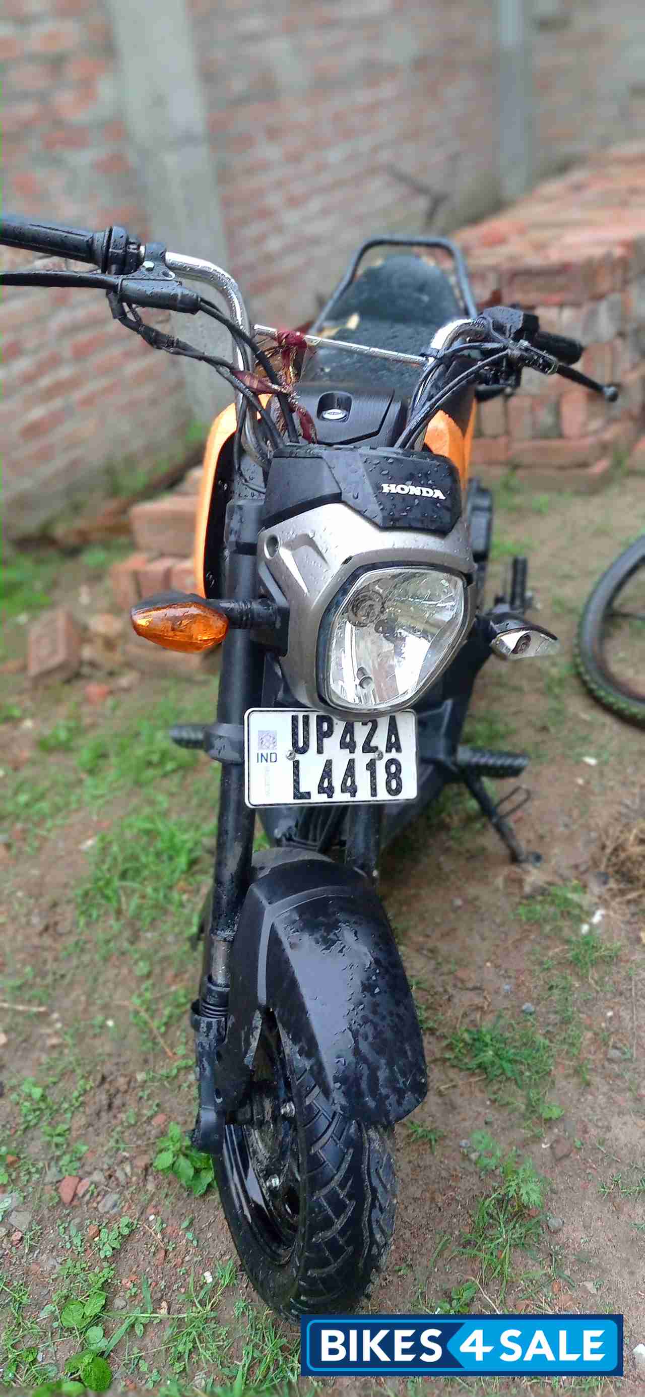 Honda Navi