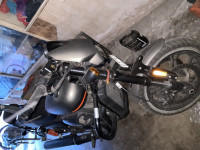 Harley Davidson Street Rod 2019 Model