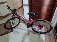 Bicycle  Fuji - Taiwan Made