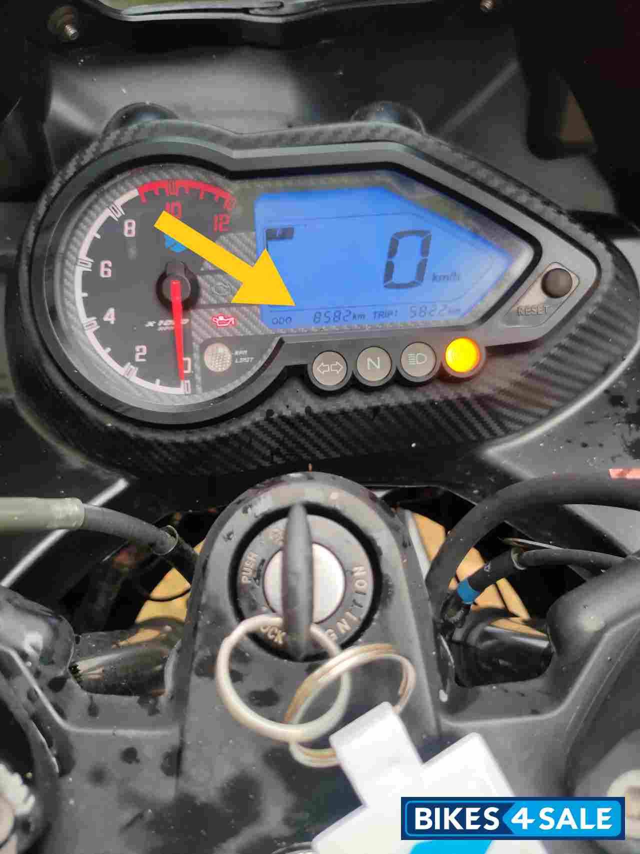 Bule Balck Bajaj Pulsar 220F BS6