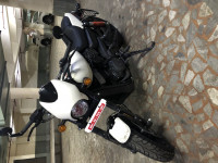 Harley Davidson Street Rod 2019 Model