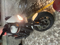 Harley Davidson Street Rod