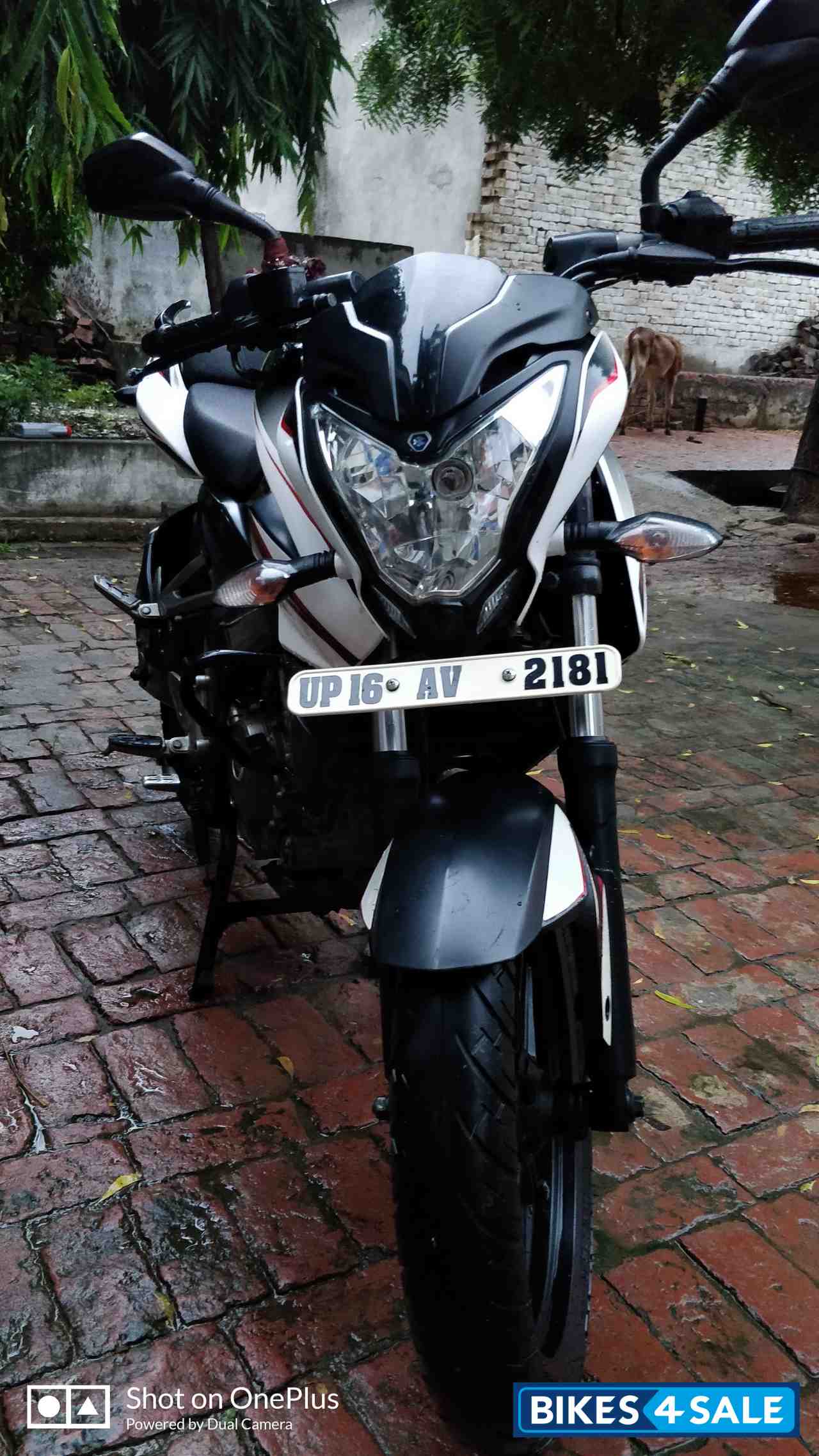 Bajaj Pulsar 200 NS Bajaj Pulsar 200 NS