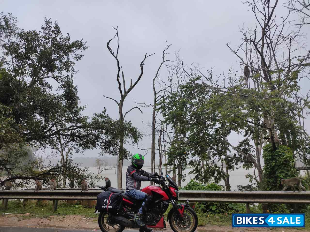 Red Bajaj Dominar 400 ABS BS6