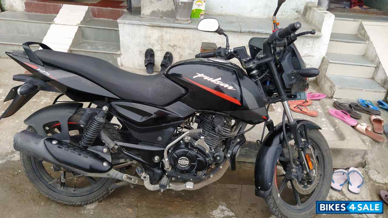 Black Red Bajaj Pulsar 125 single seat Disc Black Red Bajaj Pulsar 125 single seat Disc