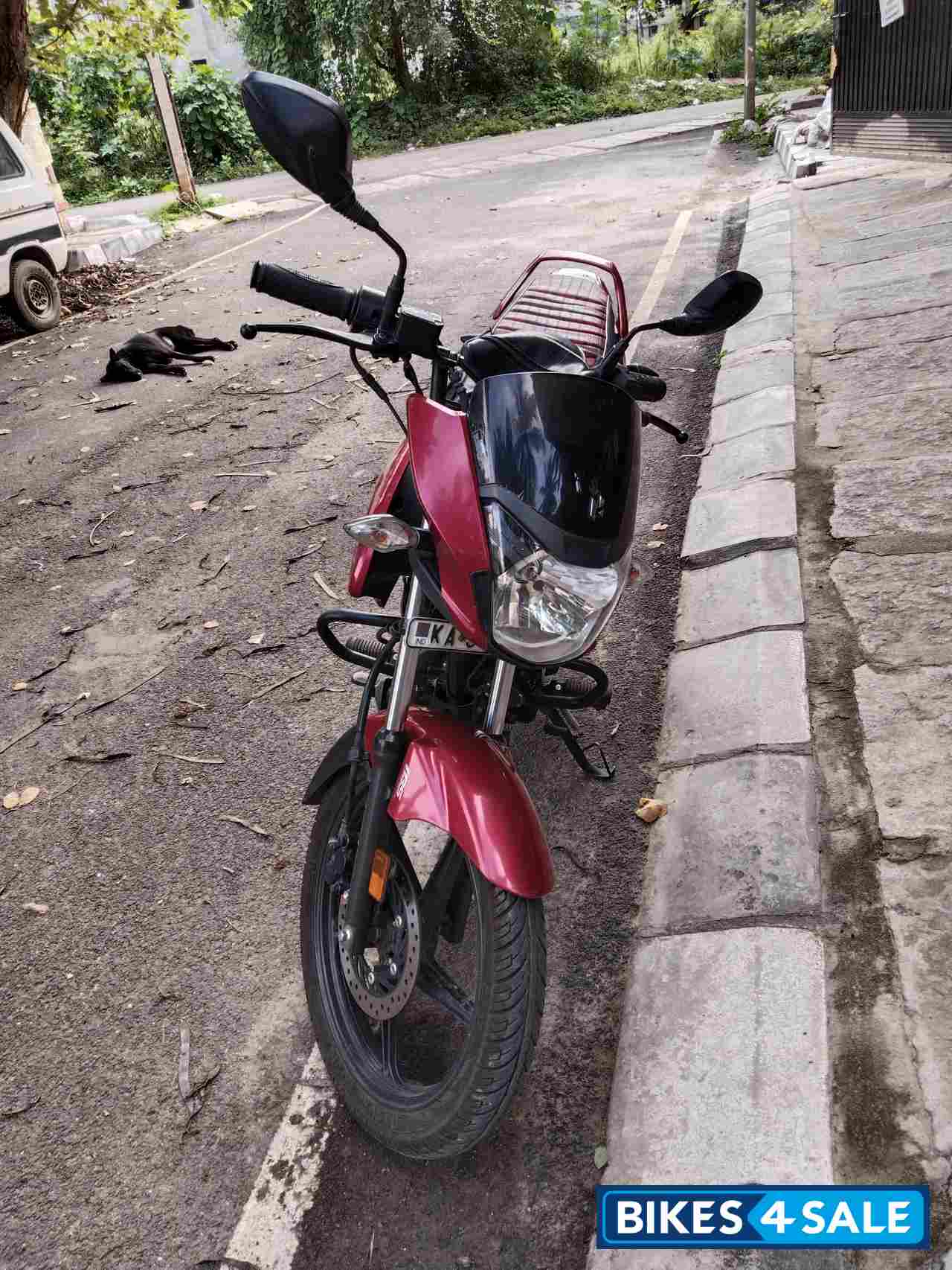 Hero Passion Pro i3s