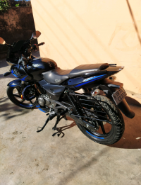 Black Blue Bajaj Pulsar 220F BS6