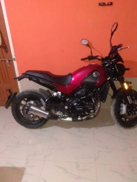 Benelli Leoncino 500 BS6