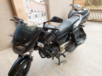 Bajaj Pulsar 150 2010 Model