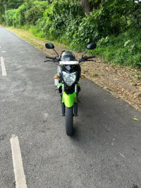 Black And Green Yamaha FZ-S