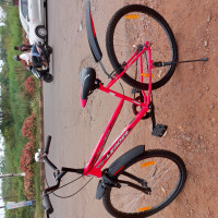 Bicycle Leader Urban Girl 26T 2021 Model