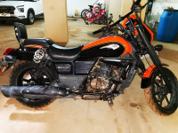 UM Renegade Sports S 2017 Model