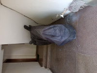 Black Royal Enfield Meteor 350 Stellar