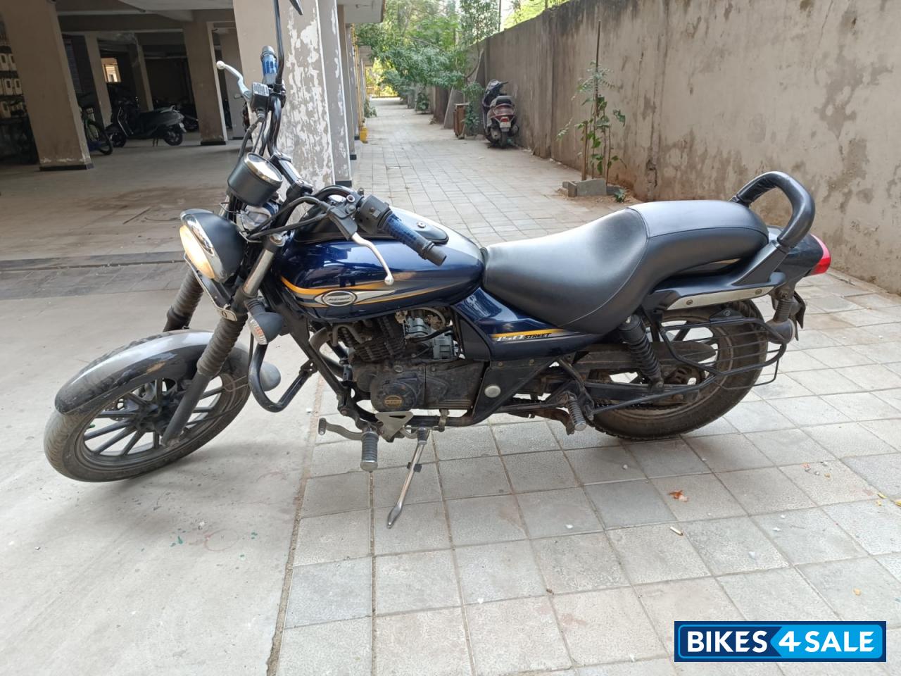 Dark Blue Bajaj Avenger Street 150