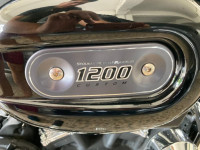 Harley Davidson 1200 Custom